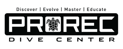 prorecdivecenter.com